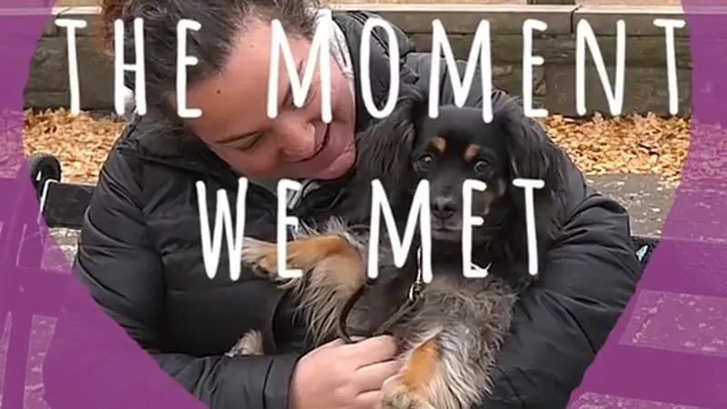 A woman hugs her rescue dog under the words The Moment We Met, from our Petco Love adoption video.