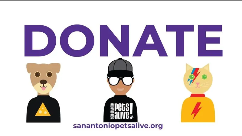 Cartoon dog, rescuer and cat under the word Donate with the San Antonio Pets Alive! web address.