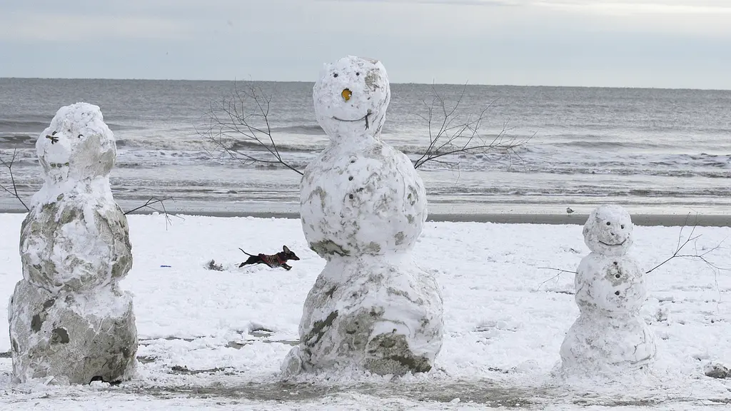 Dachshund in a red sweater running past three snowmen on a snowy Galveston beach
