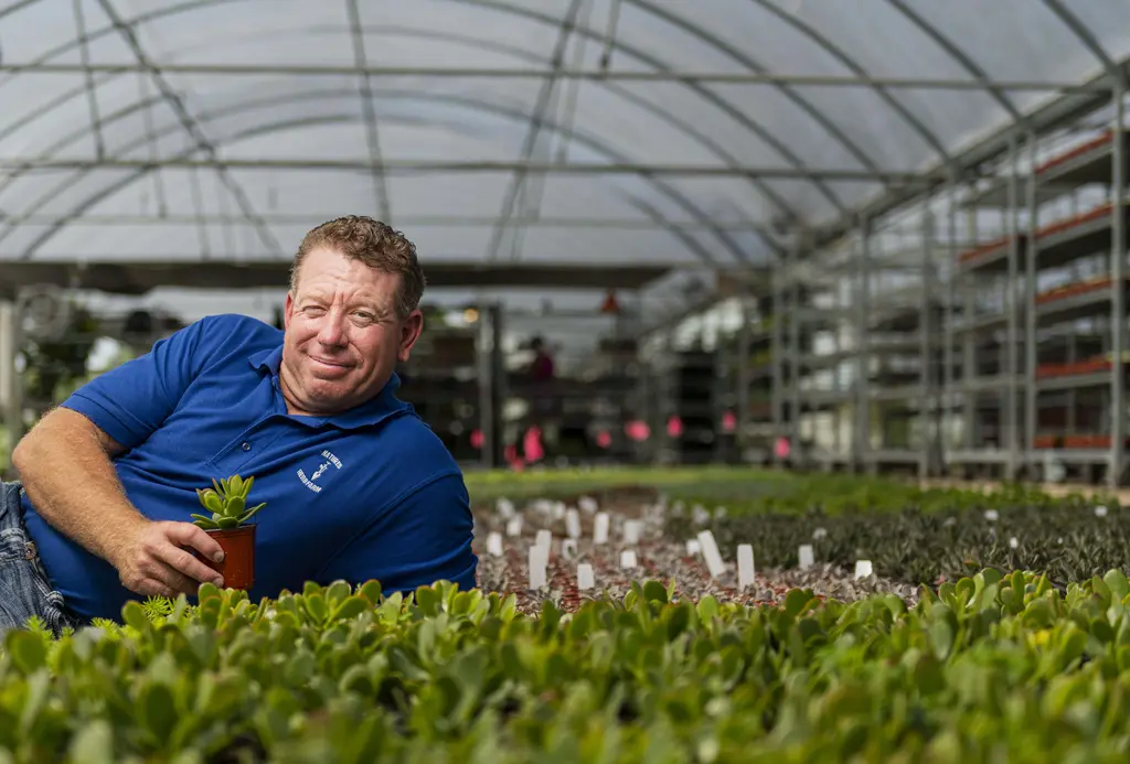 Shane Dunford in a blue polo shirt holds a small potted plant among rows of greenery in a greenhouse