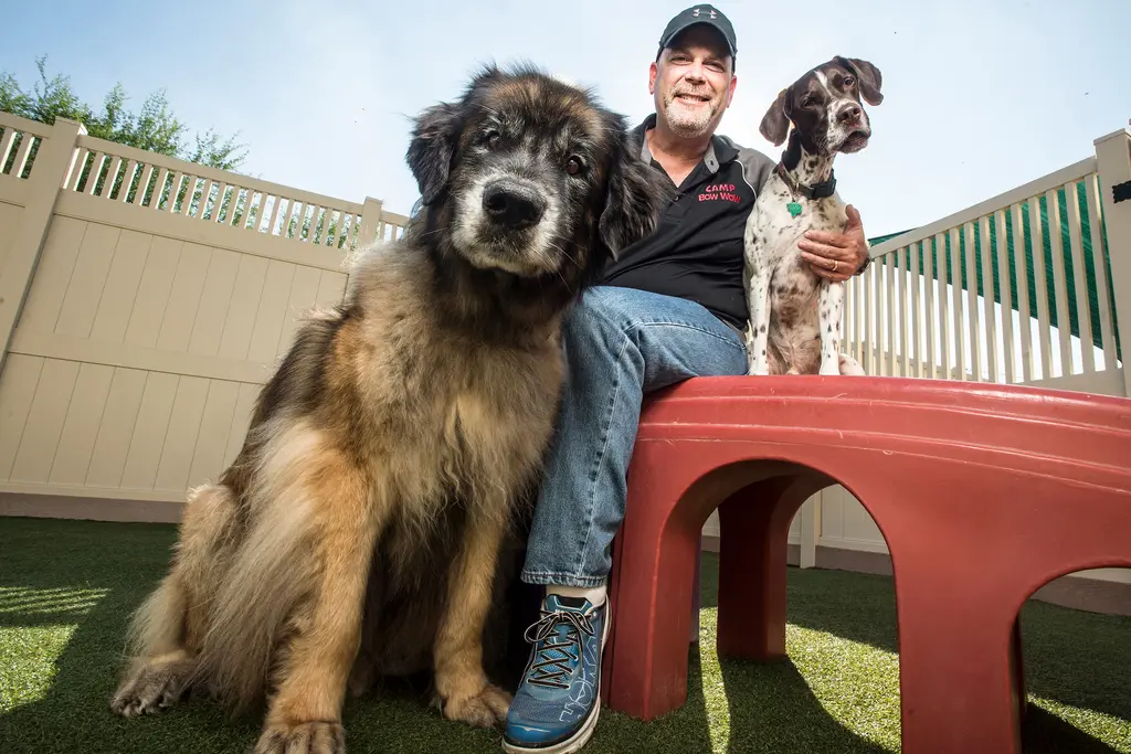 Frank Wetegrove sits on a red play structure between a long-haired brown dog and a spotted pointer