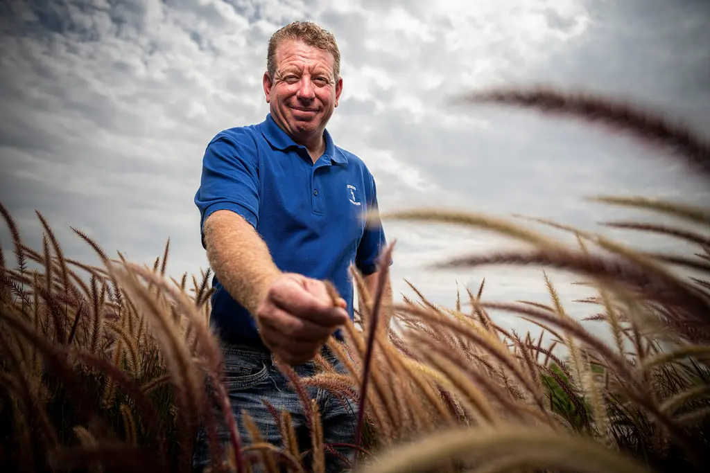 Shane Dunford in a blue polo reaches through tall ornamental grass under a cloudy sky