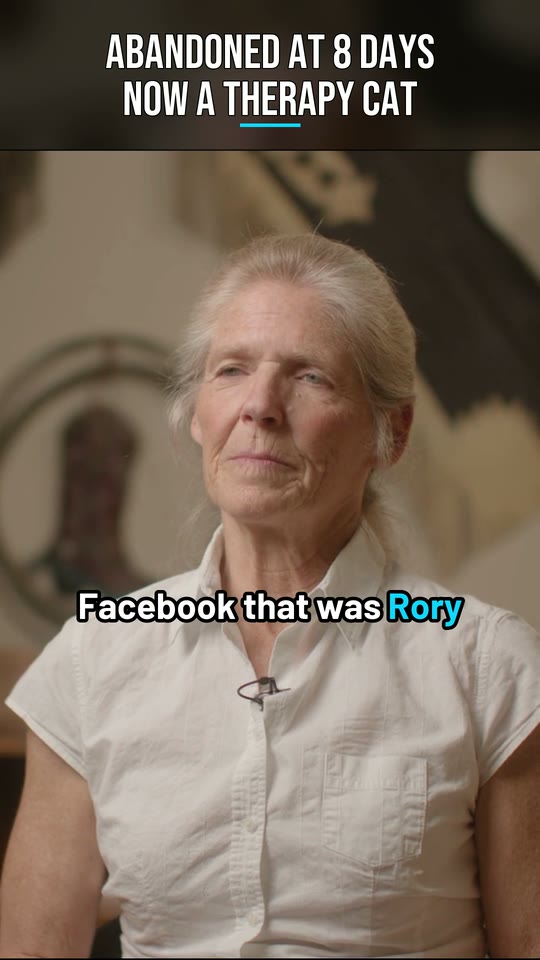 Vertical frame from the San Antonio Pets Alive! Short: Beverly Oakes, in a white blouse, with the headline at the top and the caption on her collar, well below her face.
